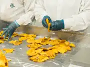The Perfect Financial Storm—Recalls Simultaneously Hit Food Industry