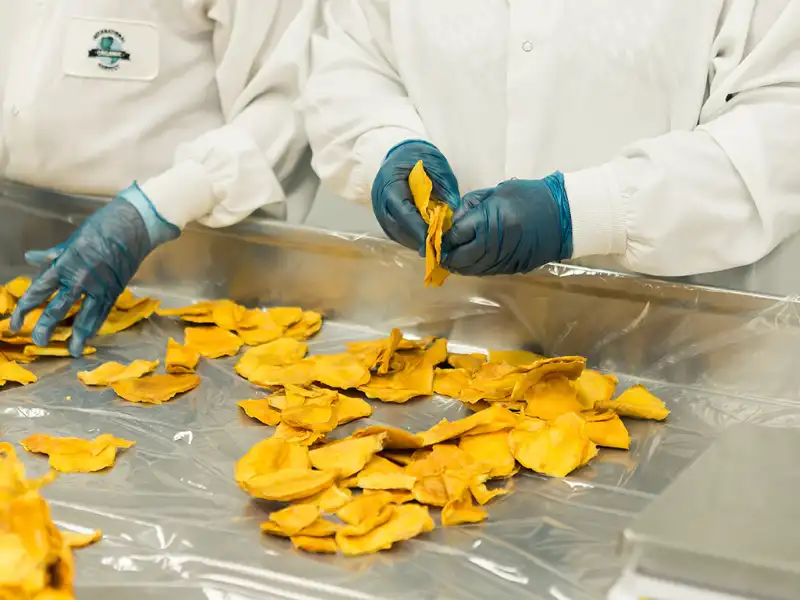 Blog The Perfect Financial Storm—Recalls Simultaneously Hit Food Industry